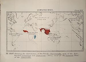 Bild des Verkufers fr Monkeys. Map III. Lemuroidea. Showing the distribution of the Family Chiromyidae and Sub-families zum Verkauf von theoldmapman