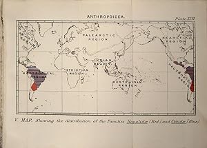 Bild des Verkufers fr Monkeys. Map V. Anthropoidea. Showing the distribution of the Families Hapalidae & Cebidae zum Verkauf von theoldmapman