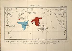 Bild des Verkufers fr Monkeys. Map VI. Anthropoidea. Showing the distribution of Genera zum Verkauf von theoldmapman