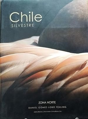 Immagine del venditore per Chile Silvestre. Zona Norte venduto da Librera Monte Sarmiento