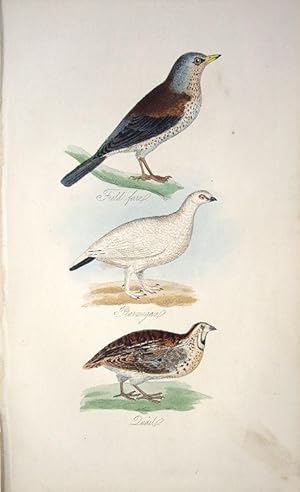 Imagen del vendedor de Fieldfare, Ptarmigan & Quail a la venta por theoldmapman