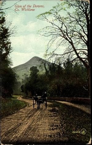 Bild des Verkufers fr Ansichtskarte / Postkarte County Wicklow Irland, Glen of the Downs, Wegpartie zum Verkauf von akpool GmbH