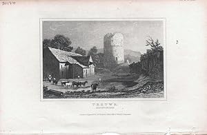 Seller image for Wales - Brecknockshire. Tretwr with cattle for sale by theoldmapman