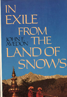 Bild des Verkufers fr In Exile from the Land of Shadows. zum Verkauf von Asia Bookroom ANZAAB/ILAB