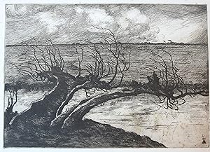 Bild des Verkufers fr Ets/etching: Hanging tree by river/hangende boom bij rivier. zum Verkauf von Antiquariaat Arine van der Steur / ILAB