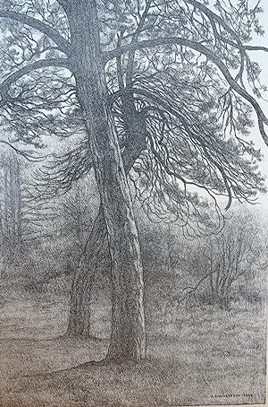 [Modern print, lithography/lithografie] Trees in the forrest/Bomen in het bos, published ca. 1950.