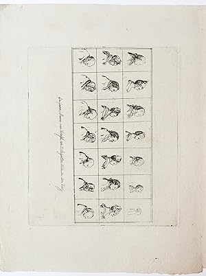 Etching/ets: 21 profile portraits [3 plates] (21 profielen van hoofden).