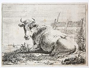 Ets/Etching: Cow resting by a fence (Rustende koe).