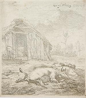 Antique print, etching | The pigs resting in front of a barn, published 1652, 1 p.