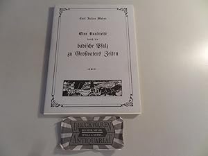 Immagine del venditore per Eine Rundreise durch die badische Pfalz zu Grovaters Zeiten. venduto da Druckwaren Antiquariat