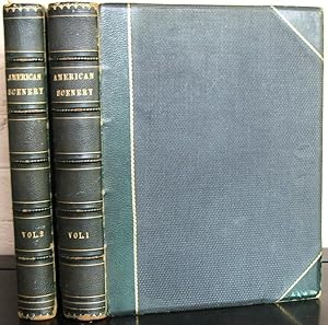 Imagen del vendedor de AMERICAN SCENERY; or Land, Lake, and River. Illustrations of Transatlantic Nature. (Two Volumes) From Drawings by W. H. Bartlett, Engraved in the First Style of the Art, By R. Wallis, J. Cousen, Willmore, Brandard, Adlard, Richardson, &c. a la venta por The Wild Muse