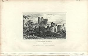 Seller image for Kent. Saltwood Castle for sale by theoldmapman