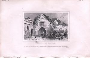 Seller image for Kent. Allington Castle for sale by theoldmapman