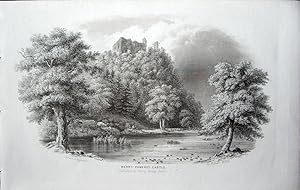 Bild des Verkufers fr Devon. Berry-Pomeroy Castle zum Verkauf von theoldmapman