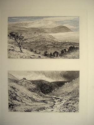 Imagen del vendedor de Devon. Exmoor and Badgworthy Valley a la venta por theoldmapman