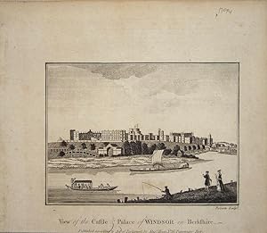 Seller image for Berkshire. Windsor Castle & Palace. for sale by theoldmapman
