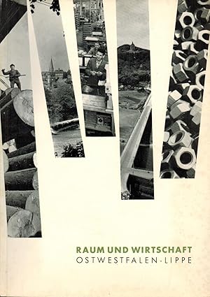 Image du vendeur pour Raum und Wirtschaft Ostwestfalen-Lippe mis en vente par Paderbuch e.Kfm. Inh. Ralf R. Eichmann