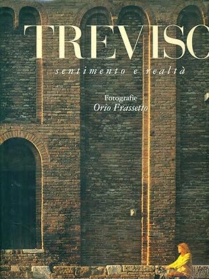 Bild des Verkufers fr Treviso Sentimento e realta' zum Verkauf von Librodifaccia