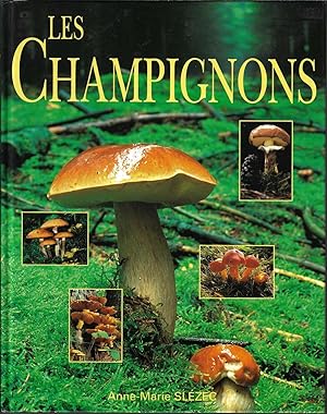 Les champignons