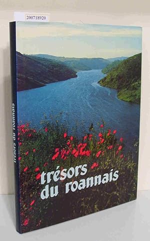 Bild des Verkufers fr Trsors du roannais Loire zum Verkauf von ralfs-buecherkiste