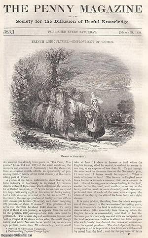 Seller image for French Agriculture: Employment of Women; James Barry's Pictures: The Victors at Olympia, part 3; Erasmus in England, part 4; Alphabets For The Blind, etc. Issue No. 383, March 24th, 1838. A complete original weekly issue of the Penny Magazine, 1838. for sale by Cosmo Books