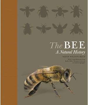 Immagine del venditore per Bee : A Natural History venduto da GreatBookPrices