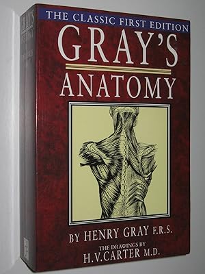 Gray's Anatomy