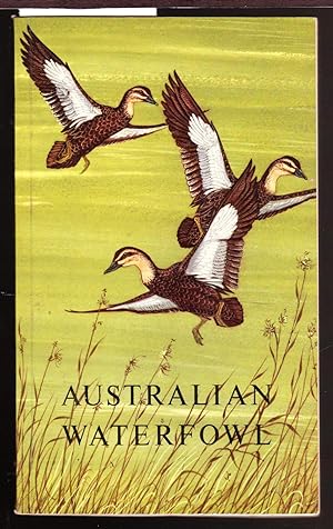 Australian Waterfowl