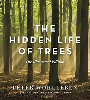 Imagen del vendedor de Hidden Life of Trees a la venta por GreatBookPrices