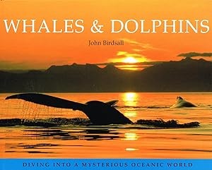 Seller image for Whales & Dolphins : Diving Into The Mysterious Oceanic World : for sale by Sapphire Books
