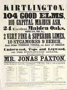 Kirtlington. Elm, Ash, Oak Auction [original auction poster].