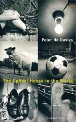 Imagen del vendedor de The Ugliest House in the World. a la venta por timkcbooks (Member of Booksellers Association)