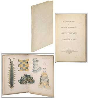 Bild des Verkufers fr A Monograph of the Species Distribution of the Genus Peripatus zum Verkauf von Between the Covers-Rare Books, Inc. ABAA