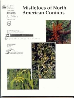 Immagine del venditore per Mistletoes of North American Conifers. General technical report of the Rocky Mountain Research Station : GTR-98 [USDA] venduto da Ravenroost Books