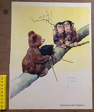 Image du vendeur pour Bear With Thornton Pickard Type Camera Sitting On Branch Of Tree Taking Photo Of 2 Monkeys Cuddling Together HUMOROUS COLOUR PRINT mis en vente par Deightons