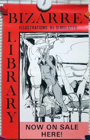 BIZARRE LIBRARY - ILLUSTRATIONS BY DIMULATTO; Now On Sale Here!