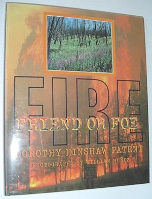 Seller image for Fire: Friend or Foe for sale by RareNonFiction, IOBA