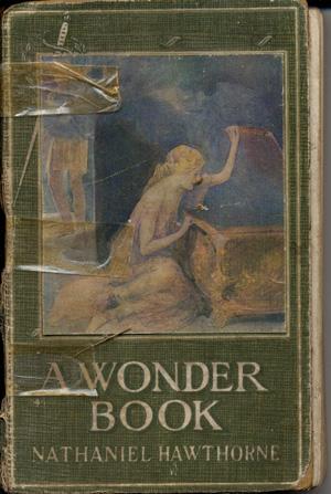 A Wonder Book