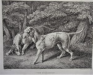 Seller image for The Stag-Hound. for sale by Antiquariat Seidel & Richter