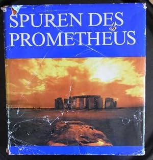 Auf den Spuren des Prometheus. Der Aufstieg der Menschheit zwischen Naturgeschichte und Weltgesch...
