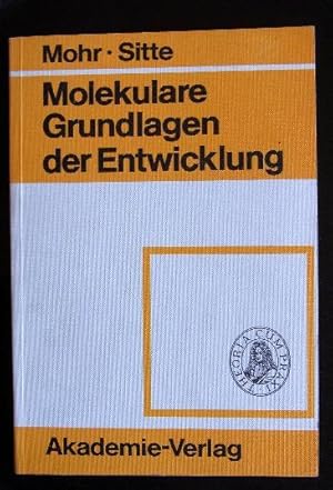 Bild des Verkufers fr Molekulare Grundlagen der Entwicklung. zum Verkauf von Antiquariat Seidel & Richter