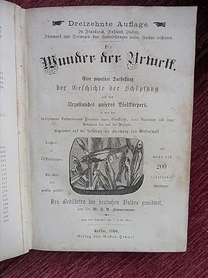 Seller image for Die Wunder der Urwelt. Eine populre Darstellung der Geschichte der Schpfung und des Urzustandes unseres Weltkrpers. for sale by Antiquariat Seidel & Richter