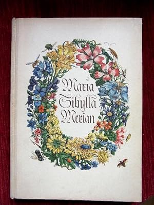 Seller image for Maria Sibylla Merian. Roman. for sale by Antiquariat Seidel & Richter