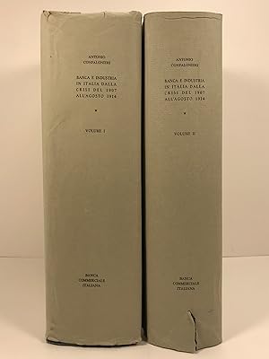 Banca E Industria in Italia Dalla Crisi Del 1907 All'agosto 1917 2 Volumes