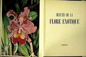 Beautés de la flore exotique.