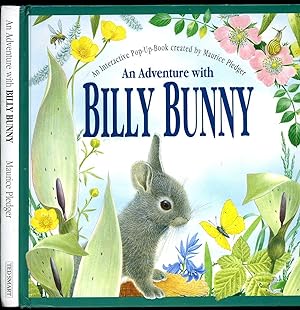Seller image for An Adventure with Billy Bunny for sale by Little Stour Books PBFA Member