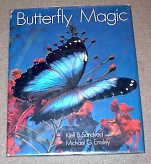 Butterfly Magic