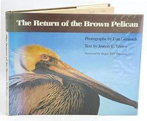 Imagen del vendedor de The return of the brown pelican. a la venta por Andrew Isles Natural History Books