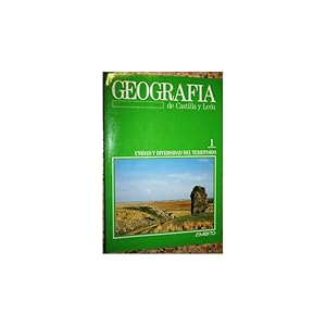 Seller image for Geografa de Castilla y Len. Tomo I. Unidad y diversidad del territorio for sale by Librera Salamb