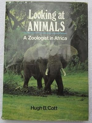 Seller image for Looking at Animals - A Zoologist in Africa for sale by Glenbower Books